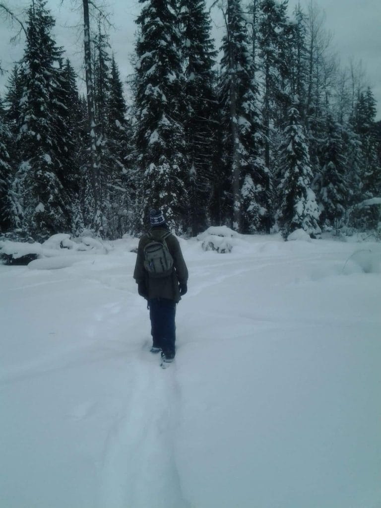 A person wearing winter clothing and a backpack walks alone through deep snow in a forested area with tall, snow-covered trees, reminiscent of the tranquil trails found near ski resorts in the Fraser Valley.