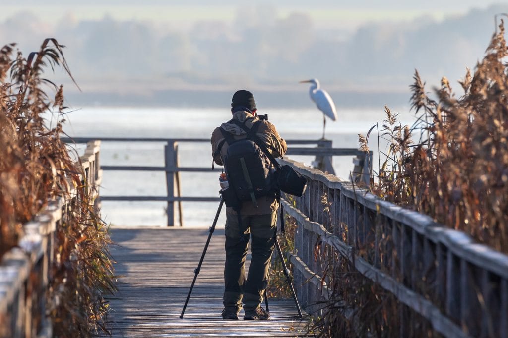 A person with a camera and tripod stands on a wooden boardwalk, photographing a white bird perched on a railing near a body of water—one of the peaceful things to do in Cultus Lake.
