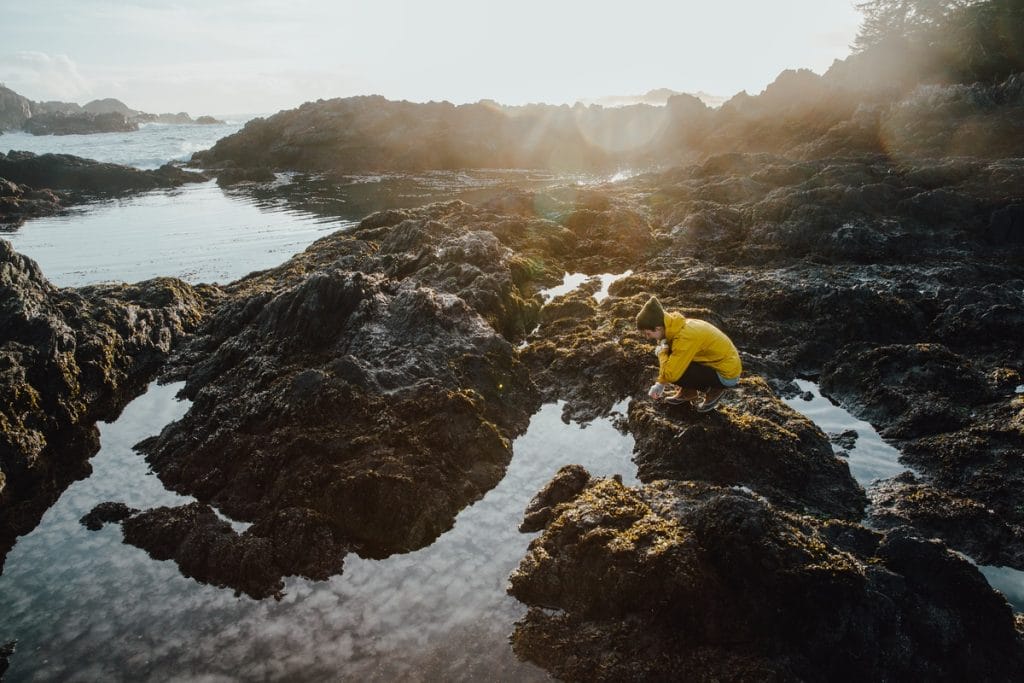 A person in a yellow jacket examines tide pools on rocky coastal terrain under bright sunlight, exploring nature much like discovering hidden airbnb markets in Canada.