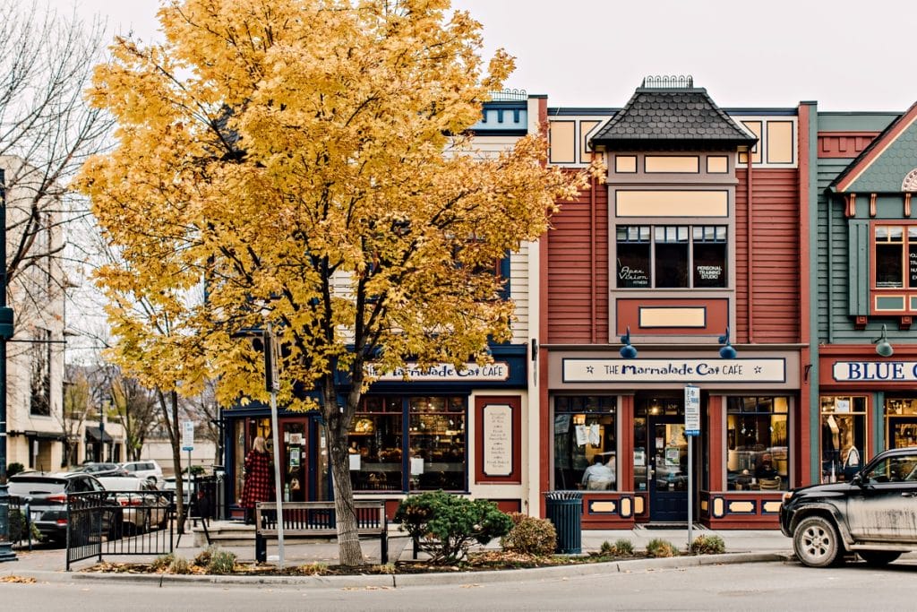 A brightly painted café with large windows sits beside a yellow-leaved tree on a city street; parked cars and a sidewalk are visible.