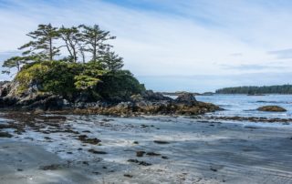 top airbnb markets in canada