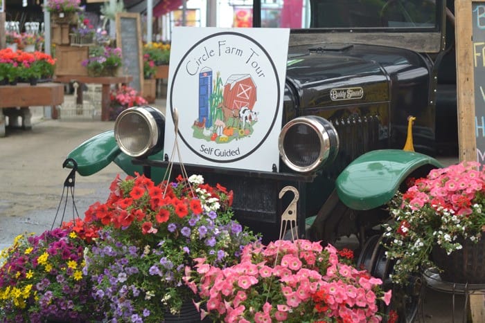 A vintage car with a "Circle Farm Tour: Self Guided" sign on its hood is surrounded by colorful hanging baskets at an outdoor market, highlighting one of the charming things to do in Harrison Hot Springs.