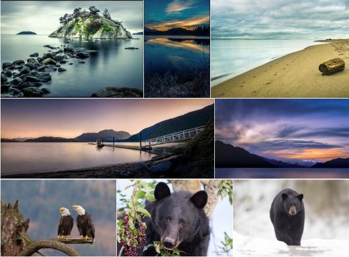A collage of scenic landscapes, including islands, beaches, docks, mountains, and wildlife such as bald eagles and black bears—perfect inspiration for planning things to do in Harrison Hot Springs.