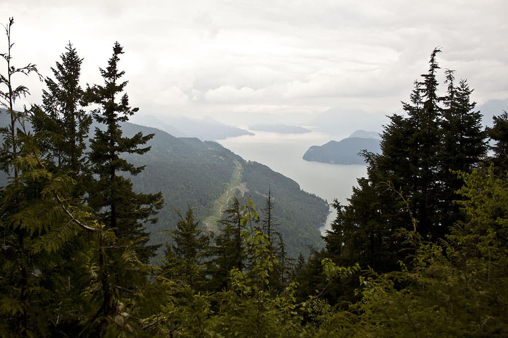 View through evergreen trees overlooking a winding coastline, forested hills, and a cloudy sky above a large body of water—a serene scene among the many things to do in Harrison Hot Springs.
