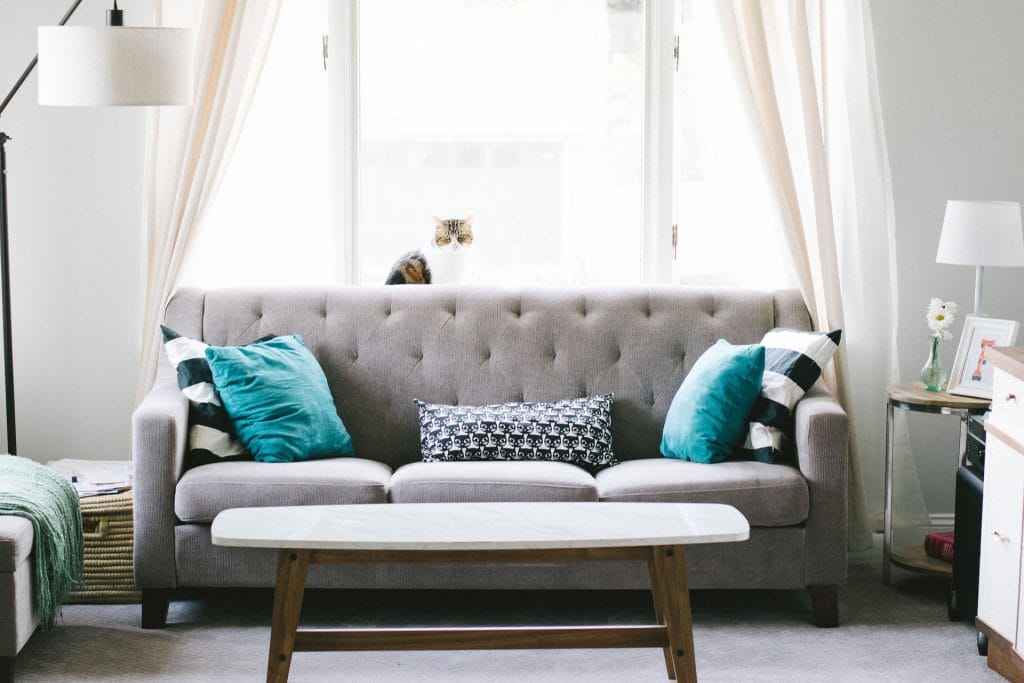 A gray sofa with teal and black pillows sits in front of a large window with sheer curtains; reflecting the state of the industry’s cozy trends, a cat is perched on the windowsill behind the sofa.