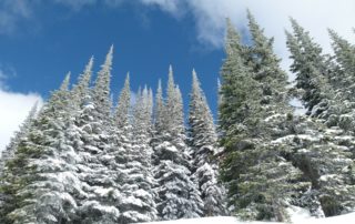 Vacation Rental Management in Sun Peaks