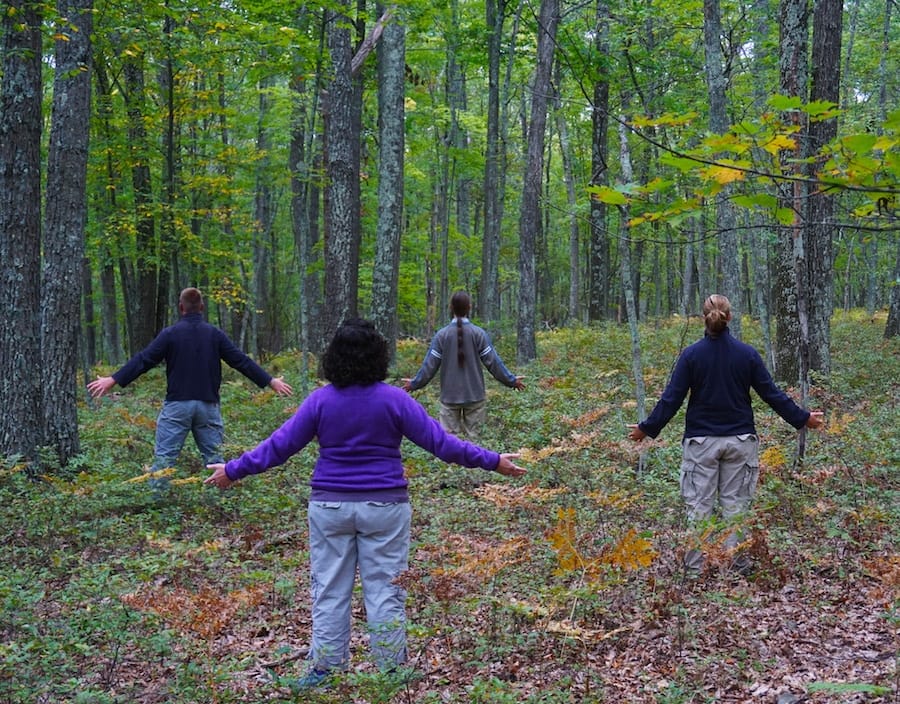 Four people stand spaced apart in a forest with arms extended outward, facing away from the camera, surrounded by trees and greenery—one of the many refreshing things to do in Harrison Hot Springs.