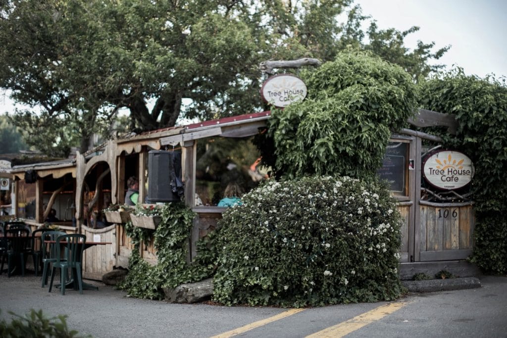 Outdoor view of the Tree House Cafe, a rustic building covered in greenery with outdoor seating and signs visible—perfect for those exploring Airbnbs on BC farms nearby.