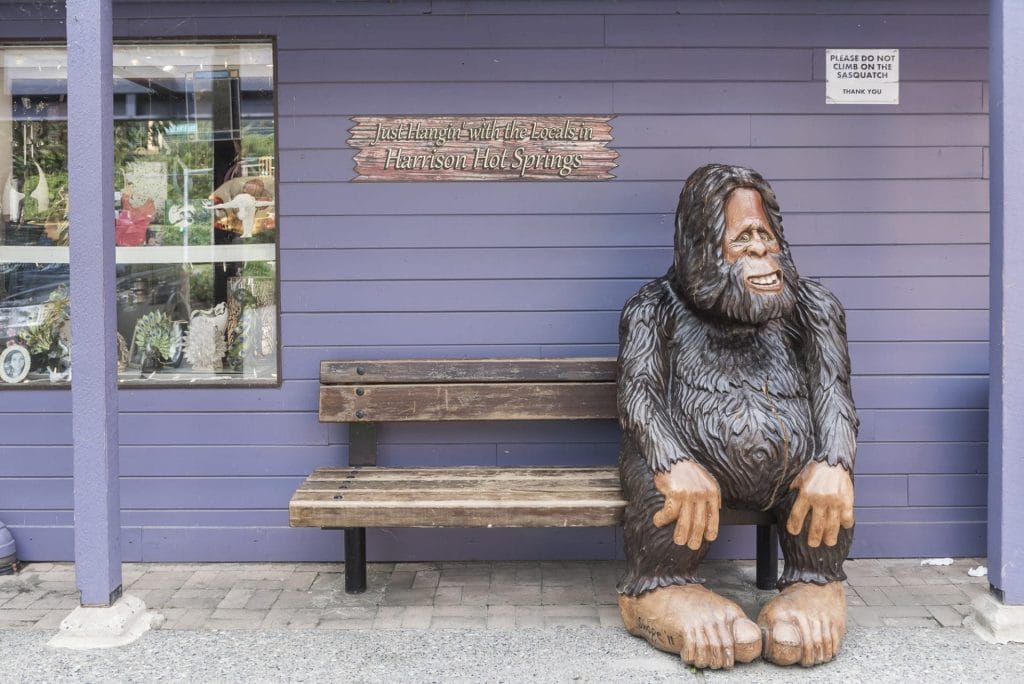 A large Sasquatch statue sits on a wooden bench in front of a purple wall near a window display, welcoming visitors and highlighting the charm of Vacation Rental Management in Harrison Hot Springs.