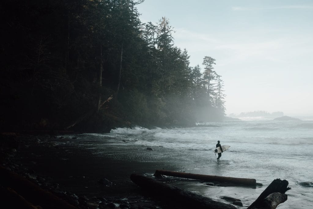 A surfer carrying a surfboard walks into the ocean near a forested coastline with scattered driftwood on the shore—one of the unforgettable things to do in Ucluelet.