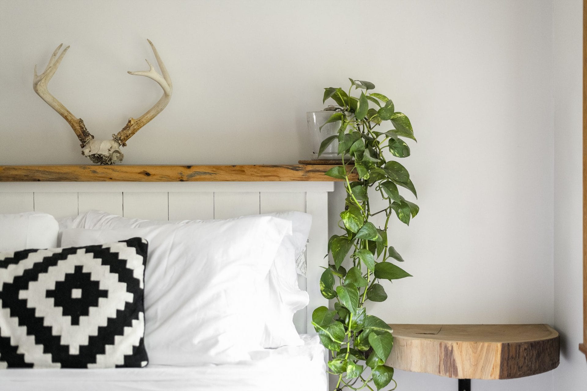 fern gully bed