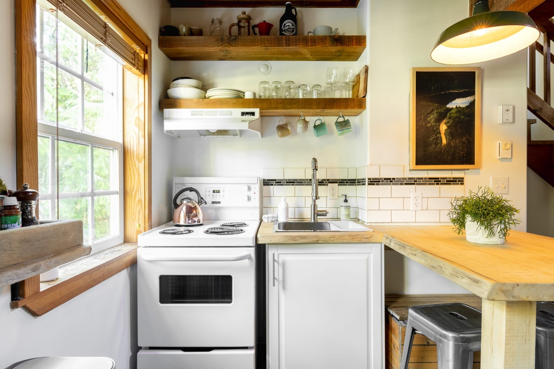 fern gully kitchen