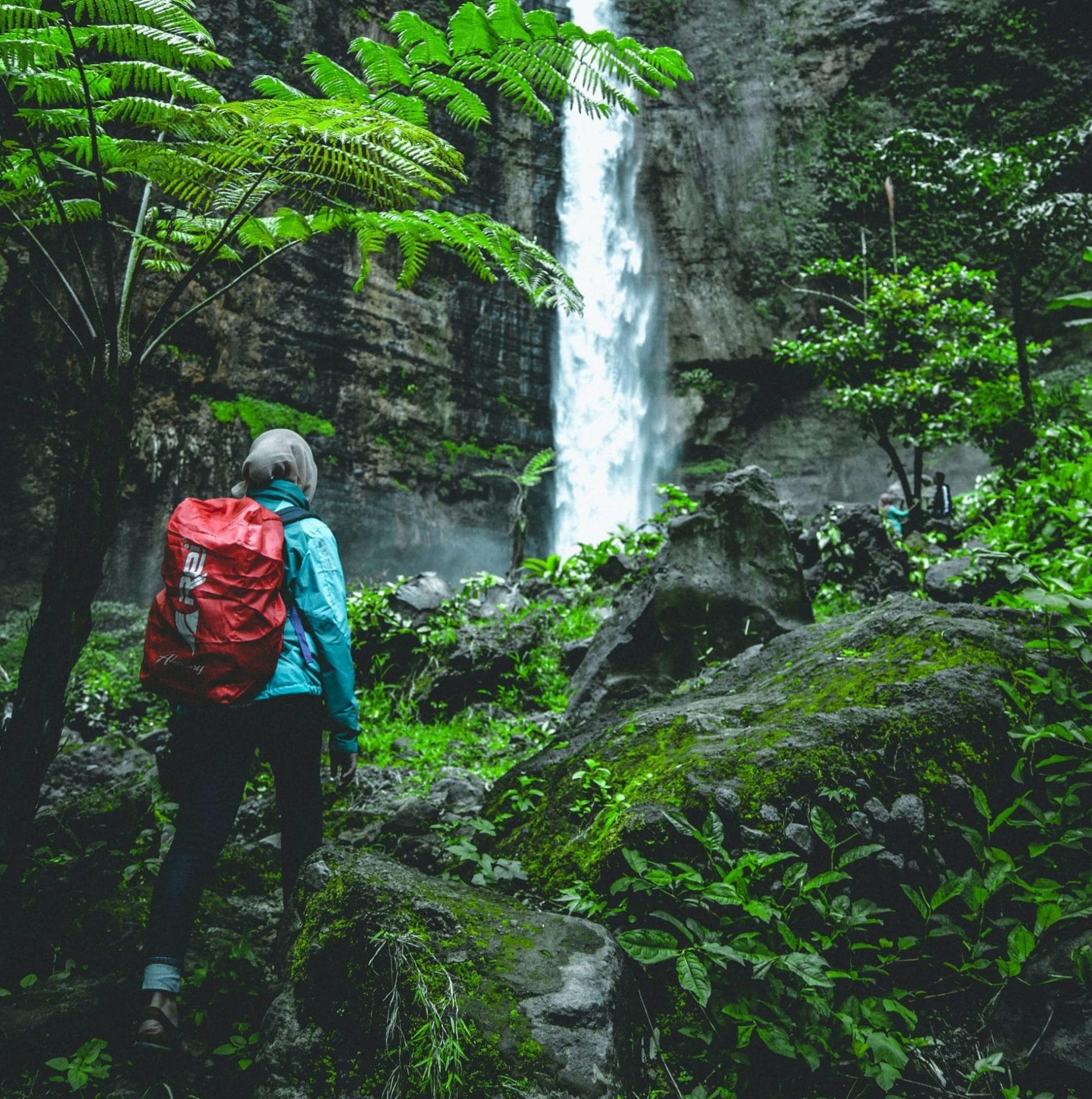 fern hike
