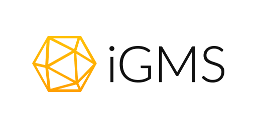 IGMS logo featuring a geometric, yellow-orange polygonal shape to the left of the text "iGMS" in black, representing innovative vacation rental software solutions.