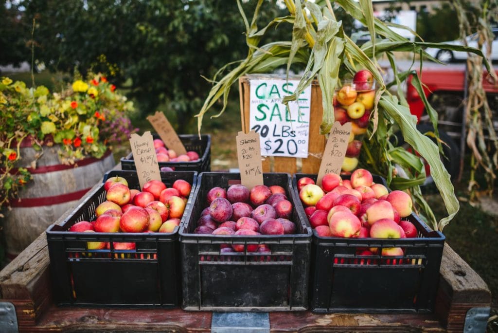 Four crates of apples and plums for sale at an outdoor market in Kelowna, featuring handwritten price signs and a case sale offer—one of the many things to do in Kelowna for fresh local produce lovers.