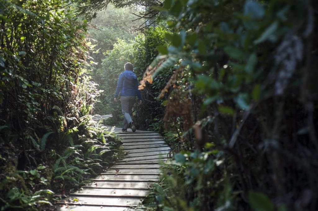 A person walks alone on a wooden path surrounded by dense green foliage and sunlight filtering through the trees—one of the peaceful things to do in Tofino.