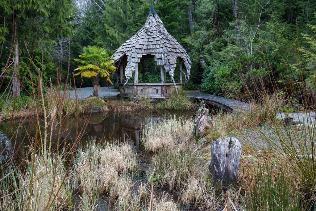 A small wooden gazebo with a shingled roof stands beside a pond, surrounded by trees and dense vegetation in a forested area—a peaceful spot often featured among things to do in Tofino for nature lovers.