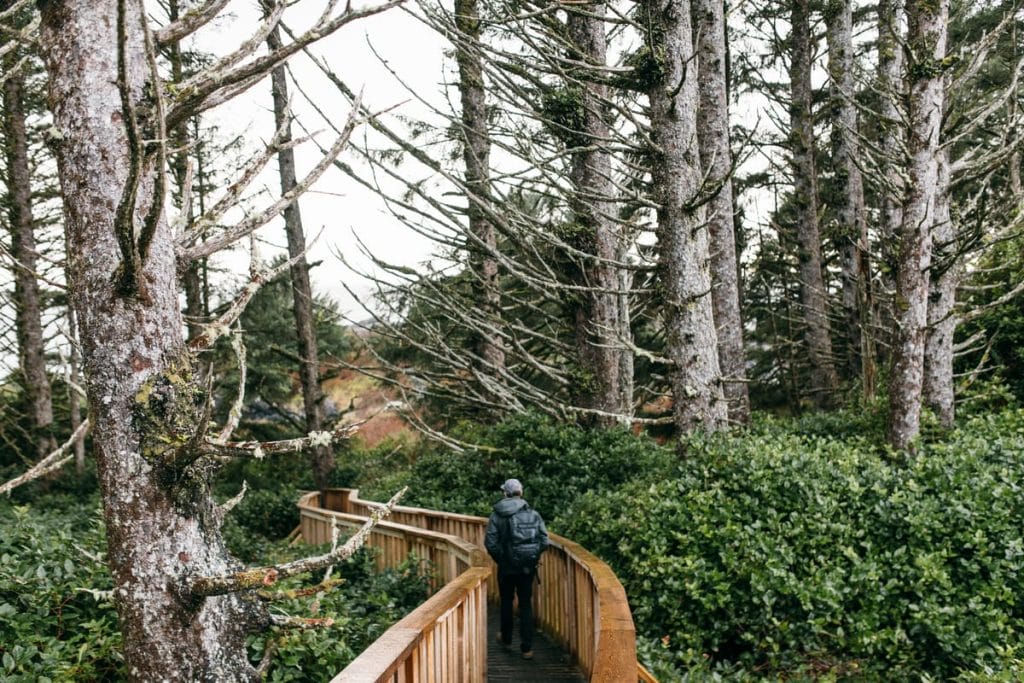 A person wearing a winter coat and hat walks along a wooden boardwalk through a dense forest—one of the peaceful things to do in Tofino, surrounded by tall trees and lush green underbrush.