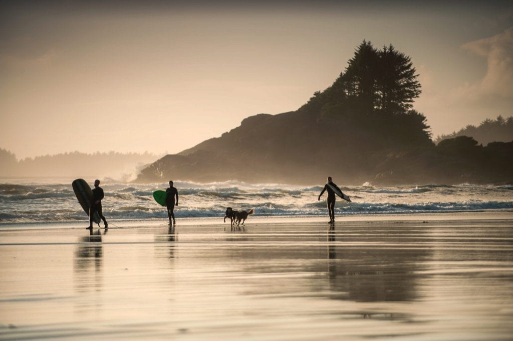 Four people with surfboards and two dogs walk along a sandy beach at sunset, framed by waves and a rocky, tree-covered hill—capturing one of the unforgettable things to do in Tofino.
