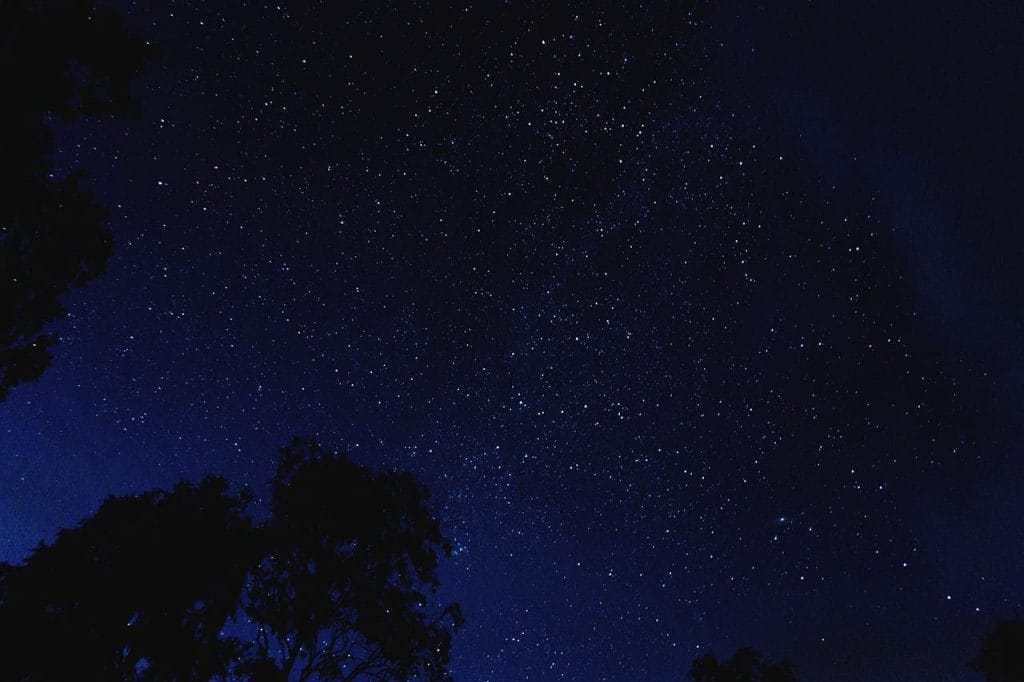 A dark night sky filled with many visible stars, with silhouettes of tree branches at the bottom of the image—perfect for stargazing, one of the best things to do in Sunshine Valley.