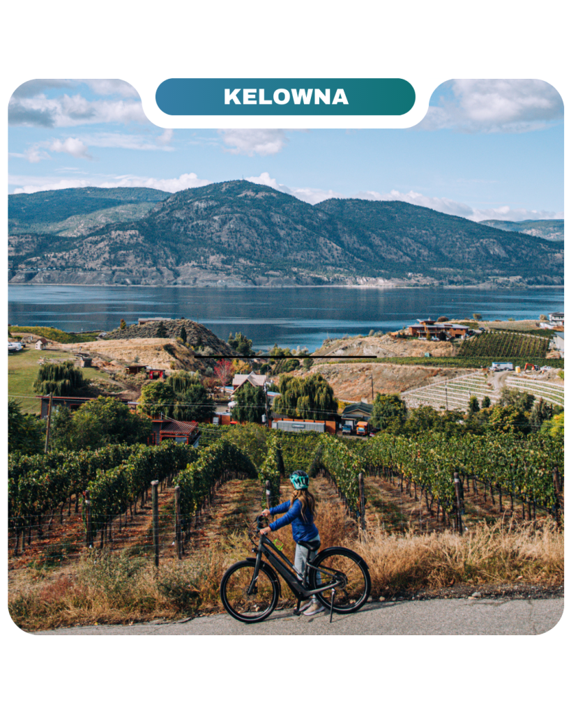 A person with a bicycle stands on a path overlooking vineyards, a lake, and majestic mountains under Kelowna’s blue sky—embracing the Lifty Life.