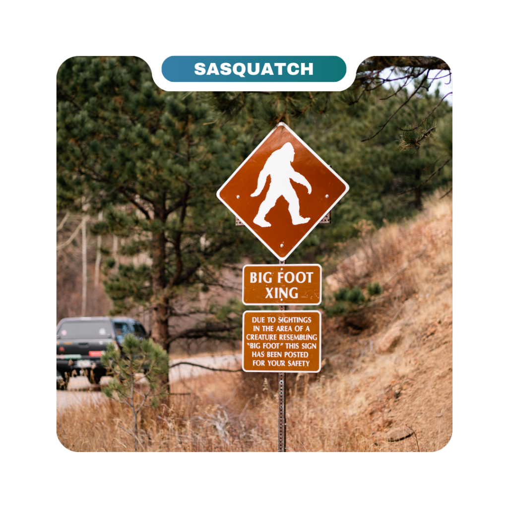 Brown "Big Foot Xing" road sign with a silhouette of Bigfoot; car driving on road in a forested area—humorous warning about potential sightings for curious destinations seekers and local homeowners alike.