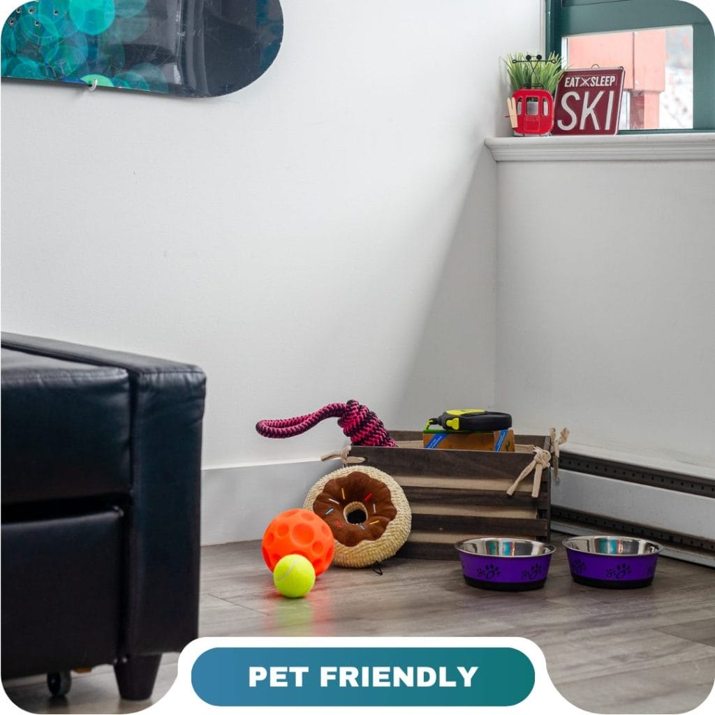 A corner of a room with pet toys, a crate, two pet bowls, and artificial grass, labeled “Pet Friendly”—perfect for guests seeking vacation rentals in canmore
