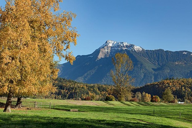 A grassy field with scattered autumn trees in front of a forested mountain range, one snowy peak under a clear blue sky—perfect for those seeking fall activities Harrison Hot Springs or exploring Harrison Hot Springs attractions.