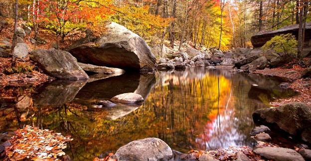 A calm stream flows through a rocky forest with autumn foliage near Harrison Hot Springs, reflecting colorful fall leaves and large boulders in the water—one of the serene things to do in the area.