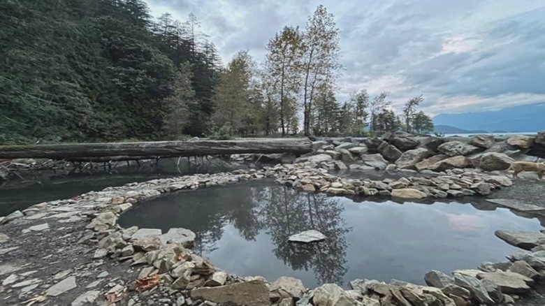 A natural hot spring pool surrounded by rocks, with trees and a log bridge in the background under a cloudy sky—perfect for enjoying fall activities in Harrison Hot Springs.