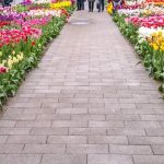 A paved walkway is bordered by rows of colorful tulips in bloom, with people enjoying spring activities in the background—one of the delightful things to do at Harrison Hot Springs.