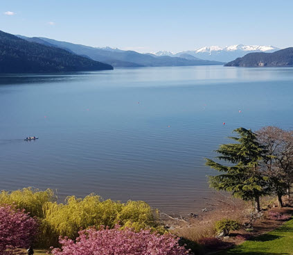 A calm lake surrounded by mountains with snow-capped peaks, pink and green trees in the foreground, and a small boat on the water—perfect for exploring spring activities Harrison Hot Springs is known for.