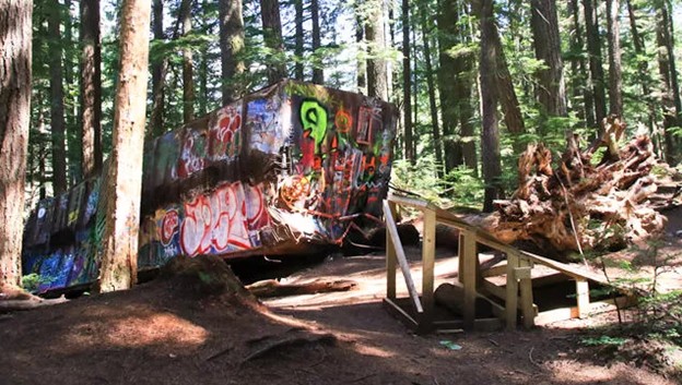 A rusted, graffiti-covered train car sits in a forest, surrounded by trees and a wooden ramp leading up to it—a hidden relic waiting to be explored during summer in Whistler. A large uprooted tree lies nearby.